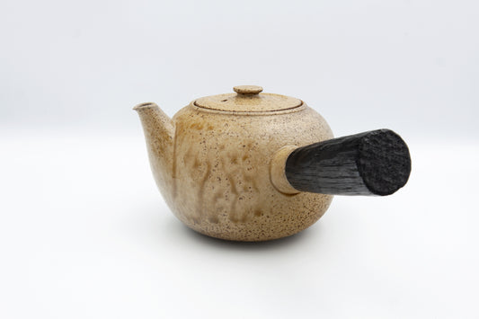 Large kyūsu teapot, set with bowl
